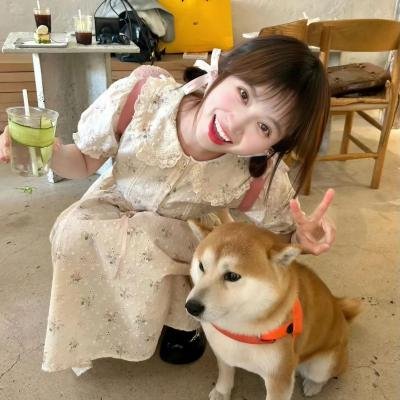 忍者通告
